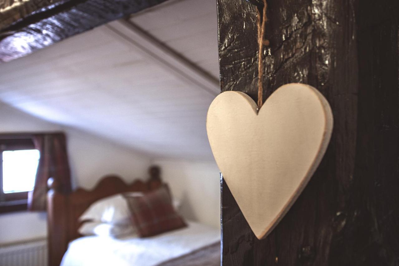 Chalet Jora - Total Chalets Bansko Eksteriør billede
